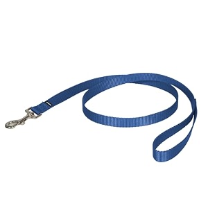 petsafe nylon leash 3434 x 439 royal blue