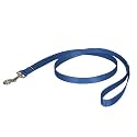 PetSafe Nylon Leash, 3/4" x 4', Royal Blue