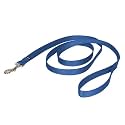 PetSafe Nylon Leash, 3/4" x 6', Royal Blue