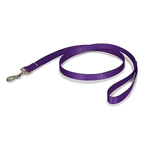 petsafe nylon leash 3834 x 639 deep purple