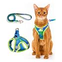 PetThem Upgraded Cat Harness and Leash Set - Step-in Escape Proof Adjustable Cat Harness, Comfortable Soft Lightweight, Reflective Harness for Walking, Travel, Camping (Hawaii Green, XS)