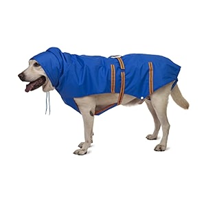 petwale reflective raincoat - royal blue size large