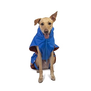 petwale reflective raincoat - royal blue size medium