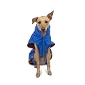 PetWale Reflective Raincoat - Royal Blue (Size: Medium)