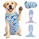 PetWarm Dog Recovery Suit, Cone Alternative, Marine Animal, Blue, 2XL