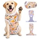 PetWarm Dog Recovery Suit, Cone Alternative, Zoo, Yellow, XL