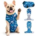 PetWarm Surgical Suit for Dogs, Surgery Bodysuit, Marine Animal, Blue, XS