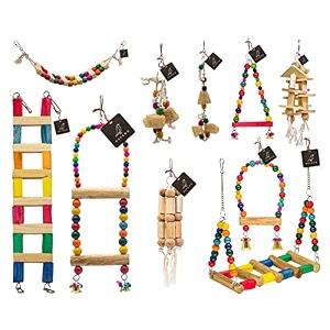 petzoo bird toys combo of 10 cage accessory for budgies cockatiels love birds african grey parrots amp all big birds and parrots