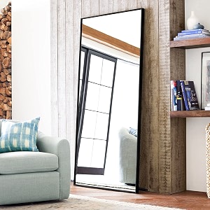 PexFix Floor Full Length Mirror 64 inchx22