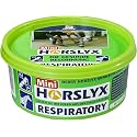 PFIFF Horslyx Minis Horse Licks, Menthol, Eucalyptus & Aniseed, 650g