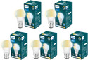 PHILIPS 14 W Multi Watt Standard B22