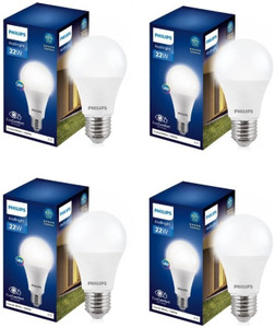 philips 22 w basic round e27 led bulb