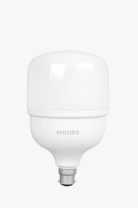 philips 30 w basic standard b22 led bulb