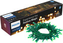 PHILIPS 48 LEDs 10 m Green Steady String Rice Lights
