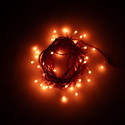 PHILIPS 48 LEDs 10 m Orange Steady String Rice Lights