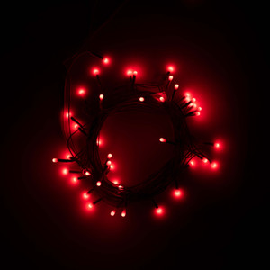 philips 48 leds 10 m red steady string rice lights
