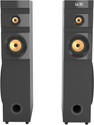 PHILIPS SP110094 100 W Bluetooth Tower Speaker