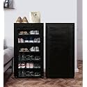 Home Utility Portable Space Saving 4 Layer Shoe Rack Organizer Stand Black, Metal