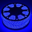 PHILPS LED Marathon Rope Light Gen 2 | Length : 50 Mtr, Wattage : 6W | Colour : Blue | Pack of 1