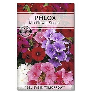 navika seeds  grow with us phlox flower seedsperfect for home amp terrace gardening winter amp summer blooms in india-includes free e-book for kitchenbackyardgardening amp plantinghigh germination