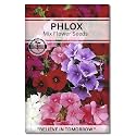 Navika Seeds ; Grow with Us Phlox Flower Seeds.Perfect for Home &amp; Terrace Gardening Winter &amp; Summer Blooms in India-Includes Free E-Book for Kitchen,Backyard,Gardening &amp; Planting.High Germination