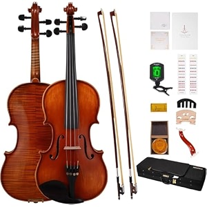 phoenix violin 44 full size set fiddle solid wood for professional beginners adults kid with ironwood octagonal bow amp rosewood bow extra strings amp bridge 2 rosins tuner mute case