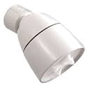 PHOENIX VITAL LIFE Phoenix 934W38 Shower Head