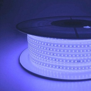 piano 1200 leds 10 m blue steady strip rice lights