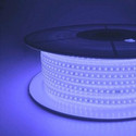 Piano 1200 LEDs 10 m Blue Steady Strip Rice Lights