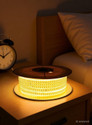 Piano 1200 LEDs 10 m Gold Steady Strip Rice Lights