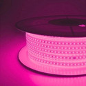 Piano 1200 LEDs 10 m Pink Steady Strip Rice Lights