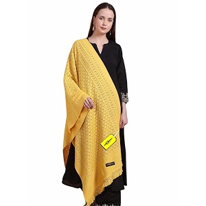 pick ur needs womens premium knitted winter soft shawl woolen warm stole with elegant lace pattern amp tassels for girls