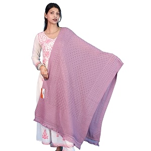 pick ur needs womens premium knitted winter soft shawl woolen warm stole with elegant lace pattern amp tassels for girls