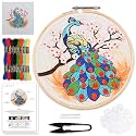 picknMAKE Colorful Majestic Peacock Hand Embroidery Kit for Beginners, Adults & Kids – Digital Printed Fabric, Threads, Needles, Floral Sequins & Instructions – DIY Embroidery Set
