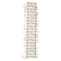 Epoxy 3Led Strip 12V Waterproof 2835/5730 LED SMD, 1.2w/Module (Pack of 20 Modules)(Blue)