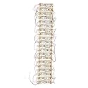 Epoxy 3Led Strip 12V Waterproof 2835/5730 LED SMD, 1.2w/Module (Pack of 20 Modules)(White)