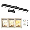 Picture Light for Wall, 6000mAh Rechargeable Wireless Remote, 16in Dimmable Magnetic LED Art Display Light with 3 Color Modes for Painting, Gallery, Living Room, Bedroom, Hallway (Black)