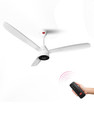 Pigeon 19004496 with 2 Year Warranty 1200