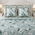 PILLOWALA Cotton King Queen Double Flat 200