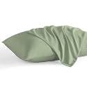 Pillowcase 14 x 20 Inch, 600 Thread Count Egyptian Cotton Set of 2 Pillowcase Zipper Closure Pillow Cover - Travel 14x20 Zipper, Moss Solid