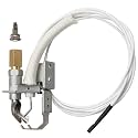 Pilot Natural/Propane Lid Pool Heater Pilot Assembly Compatible with Raypak Pilot Pool & Spa Heaters for Raypak Part 106A 206A 266A 336A 405B 406A R403 RP2100 R156A Replace# 002003F