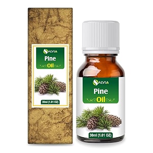 salvia pine oil pinus sylvestris essential oil for aromatherapy amp diy blends  fresh woody oil for skincare massage amp fragrance use  30 ml  101 fl oz