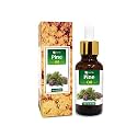 Salvia Pine Oil (Pinus sylvestris) Essential Oil for Aromatherapy &amp; DIY Blends – Fresh Woody Oil for Skincare, Massage &amp; Fragrance Use – 15 ml / 0.50 fl oz