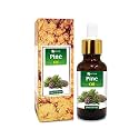 Salvia Pine Oil (Pinus sylvestris) Essential Oil for Aromatherapy &amp; DIY Blends – Fresh Woody Oil for Skincare, Massage &amp; Fragrance Use – 30 ml / 1.01 fl oz