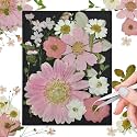 Pink Dried Pressed Flowers, Real Nature Flowers with Tweezers