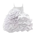 PINK WINGS Baby Girl Tutu Dress First