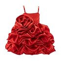 PINK WINGS Baby Girl Tutu Dress First
