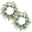 Pinkpum 2 Pack Wreaths for Front Door 20'' Christmas Eucalyptus Wreath, Spring Summer Door Green Wreath for Home Porch Window Wall Farmhouse Home Decor Indoor Outdoor Summer All Seasons