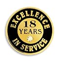 PinMart Gold Color Plated Excellence in Service Year Award Lapel Pin – Metal Enamel Workplace Reward Pin w/Rhinestone – 1-60 Years Pins for Long Standing Employees