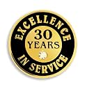PinMart Gold Color Plated Excellence in Service Year Award Lapel Pin – Metal Enamel Workplace Reward Pin w/Rhinestone – 1-60 Years Pins for Long Standing Employees
